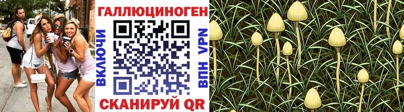 Псилоцибиновые грибы мицелий  Похвистнево 