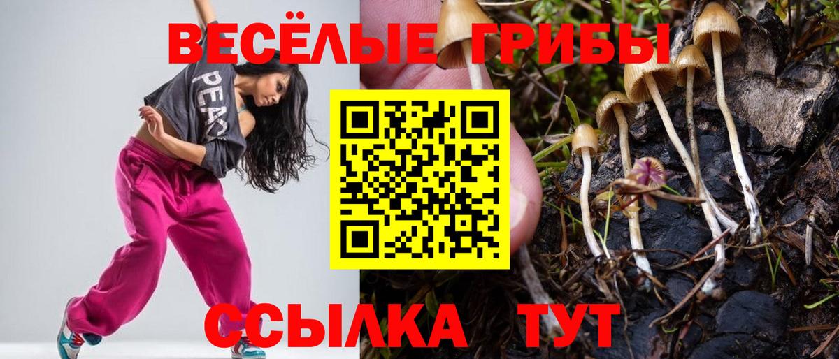 Галлюциногенные грибы Psilocybine cubensis Похвистнево
