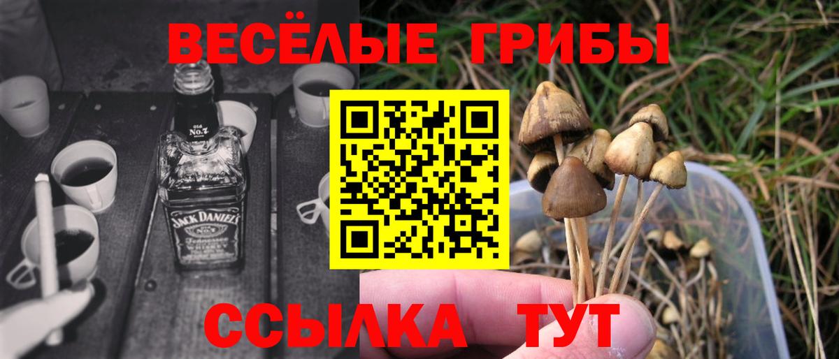 Псилоцибиновые грибы прущие грибы  где купить наркотик  Вход с VPN  Похвистнево  Галлюциногенные грибы прущие грибы 